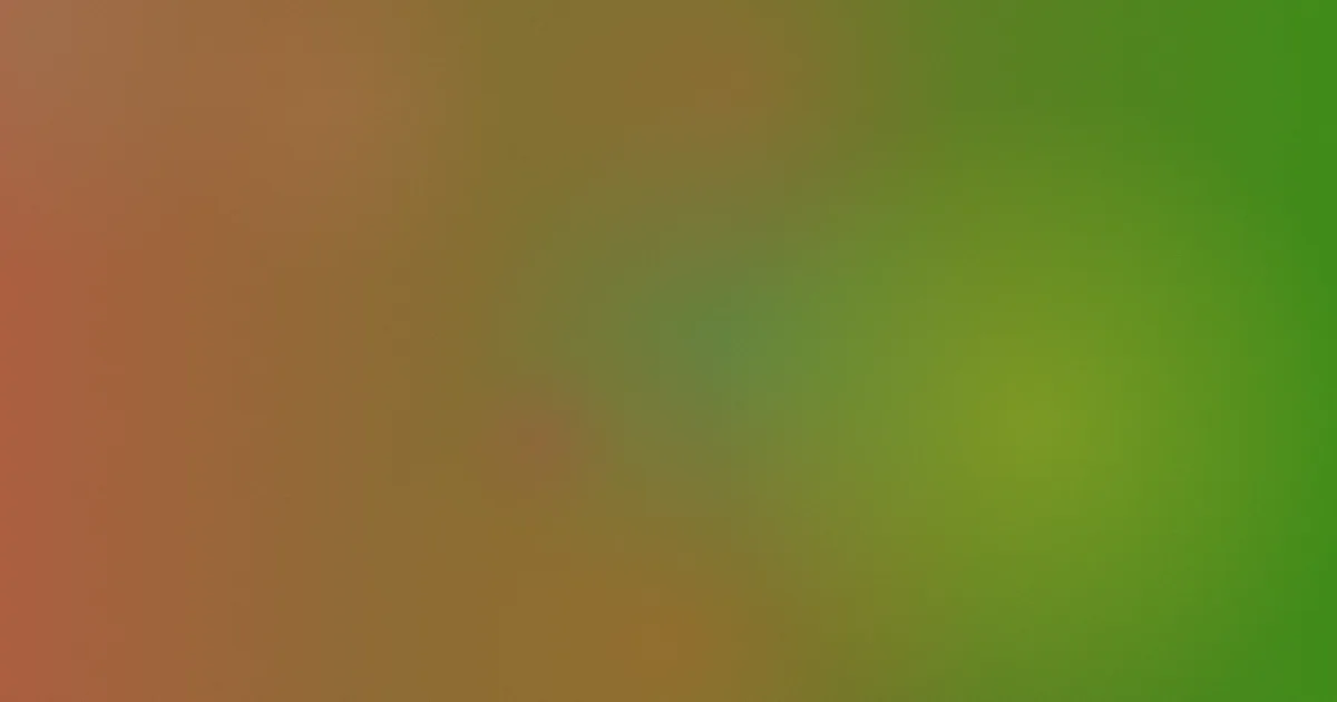 最真的梦测评：别只听副歌
